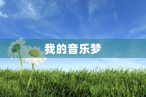 我的音乐梦 我的音乐梦