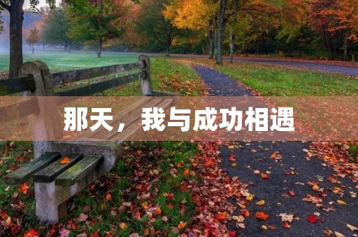 那天,我与成功相遇 那天,我与成功相遇