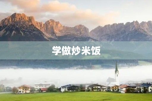 学做炒米饭 学做炒米饭