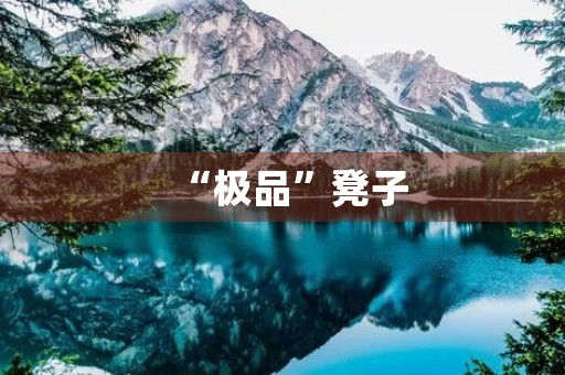 “极品”凳子 “极品”凳子