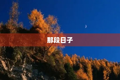那段日子 那段日子