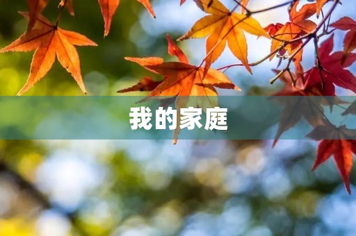 我的家庭 我的家庭