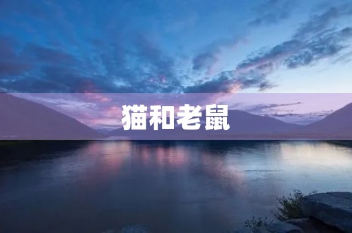 猫和老鼠 猫和老鼠