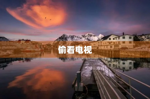 偷看电视