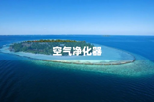 空气净化器