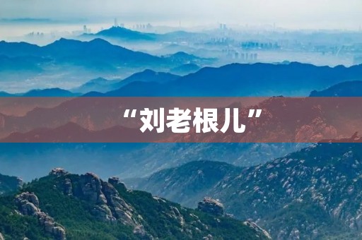 “刘老根儿” “刘老根儿”