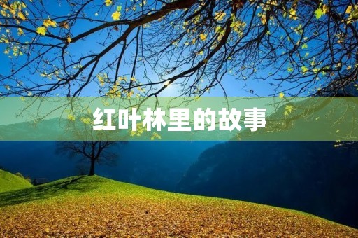红叶林里的故事 红叶林里的故事
