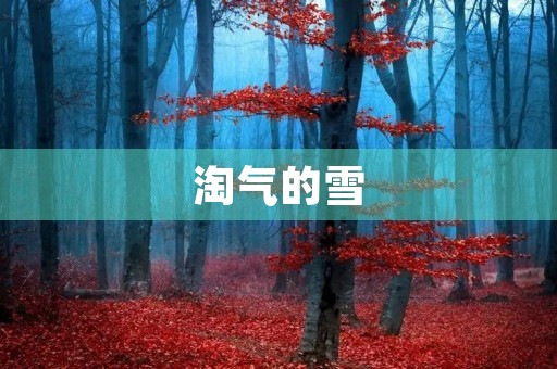 淘气的雪 淘气的雪