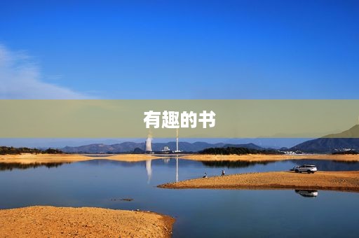 有趣的书