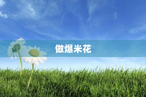 做爆米花 做爆米花