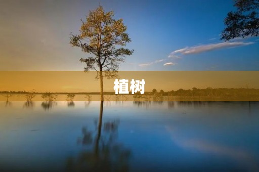 植树 植树