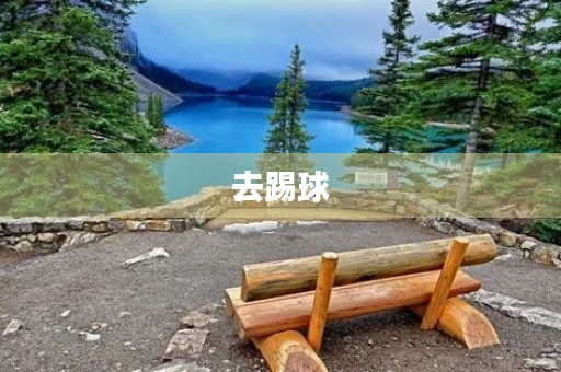 去踢球 去踢球
