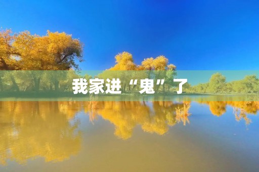我家进“鬼”了