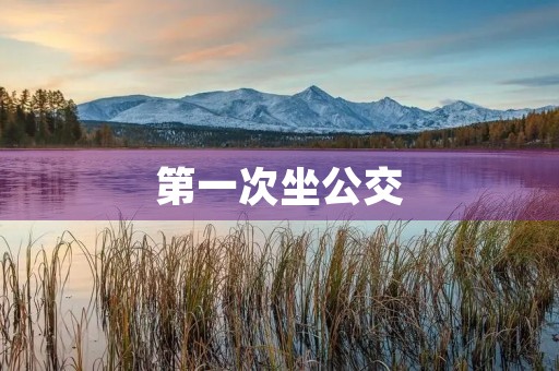 第一次坐公交 第一次坐公交