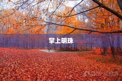 掌上明珠 掌上明珠