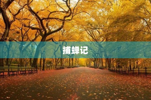 捕蝉记 捕蝉记