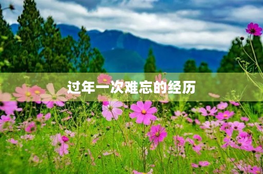 过年一次难忘的经历