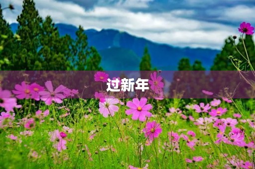 过新年 过新年