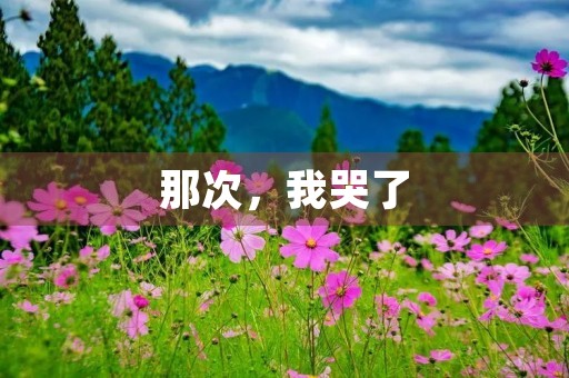 那次,我哭了 那次,我哭了