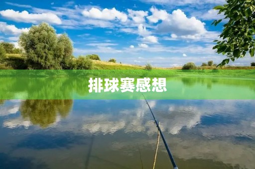 排球赛感想 排球赛感想