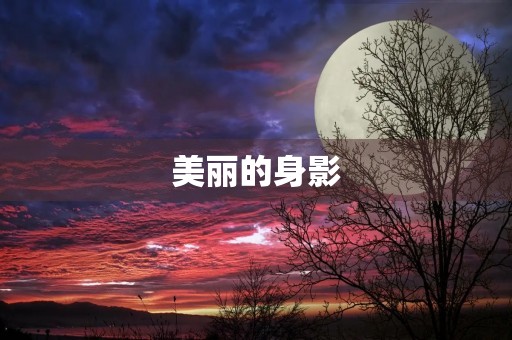 美丽的身影