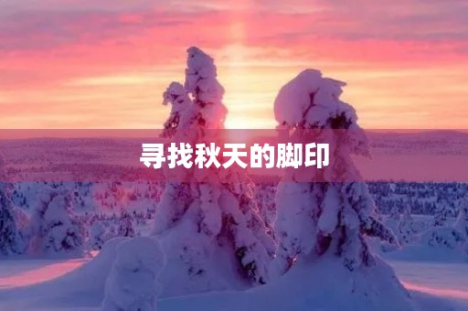 寻找秋天的脚印 寻找秋天的脚印