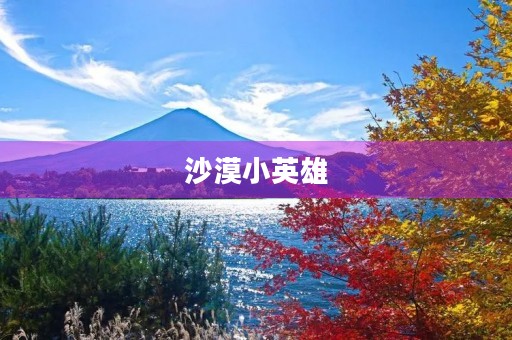 沙漠小英雄 沙漠小英雄