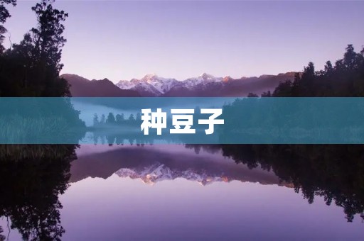种豆子 种豆子