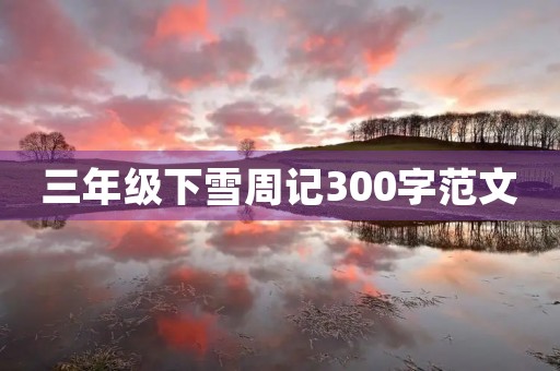 三年级下雪周记300字范文