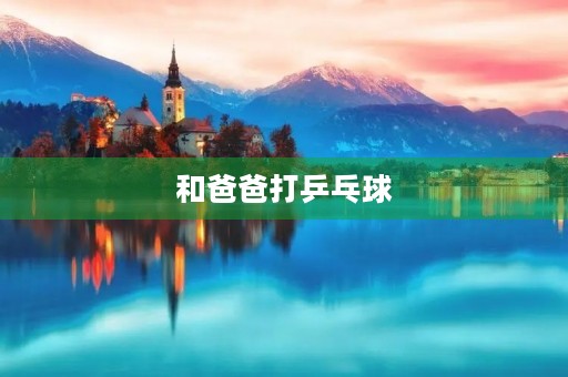 和爸爸打乒乓球 和爸爸打乒乓球