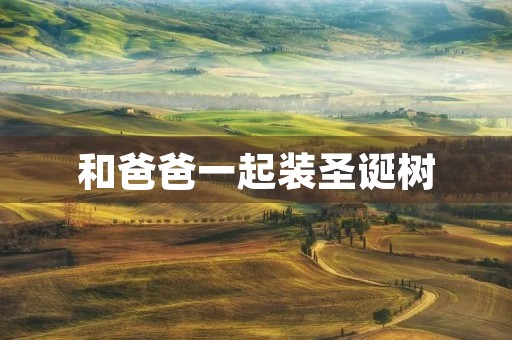 和爸爸一起装圣诞树 和爸爸一起装圣诞树