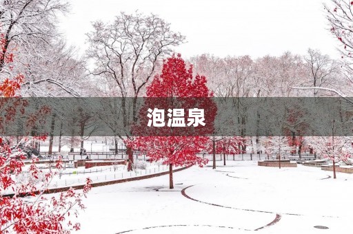 泡温泉