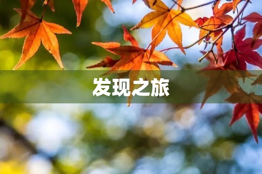 发现之旅