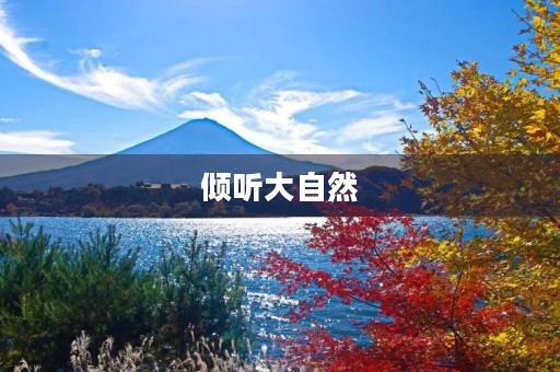 倾听大自然 倾听大自然