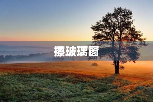 擦玻璃窗