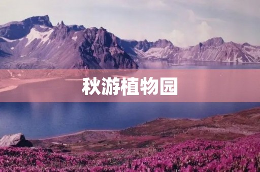 秋游植物园 秋游植物园