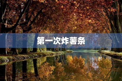第一次炸薯条 第一次炸薯条