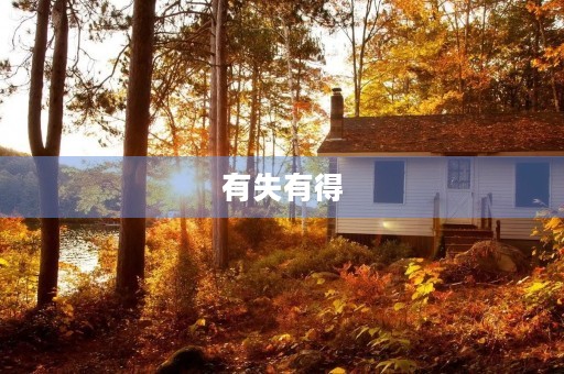 有失有得 有失有得