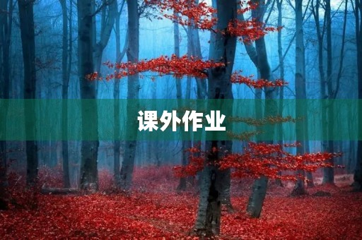 课外作业 课外作业