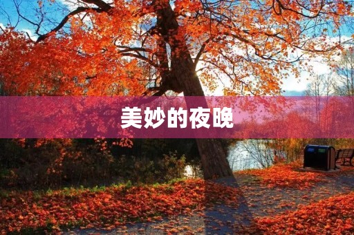 美妙的夜晚 美妙的夜晚