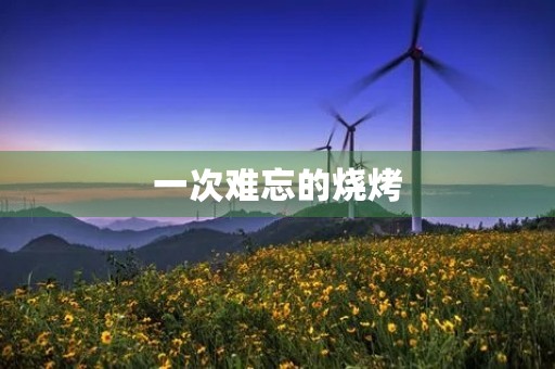 一次难忘的烧烤 一次难忘的烧烤