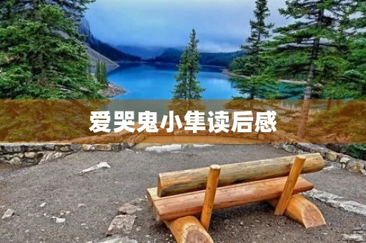 爱哭鬼小隼读后感 爱哭鬼小隼读后感