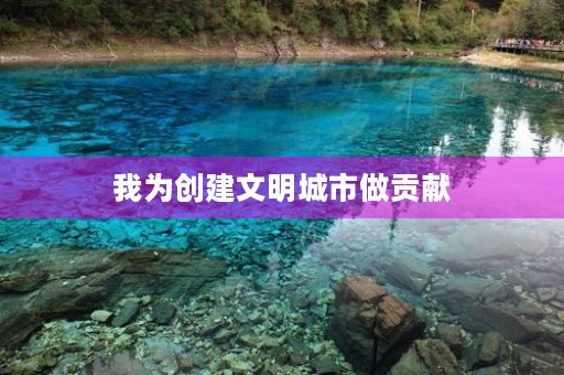 我为创建文明城市做贡献 我为创建文明城市做贡献