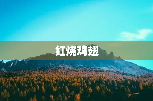 红烧鸡翅 红烧鸡翅