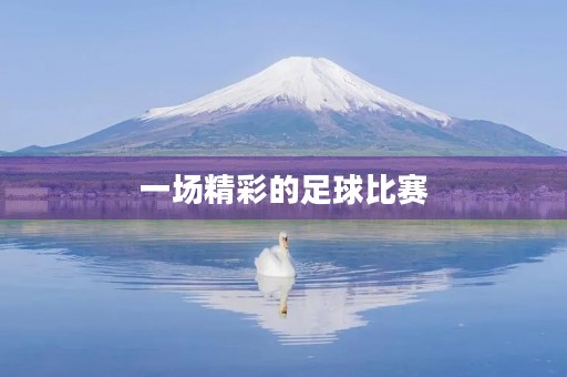 一场精彩的足球比赛 一场精彩的足球比赛