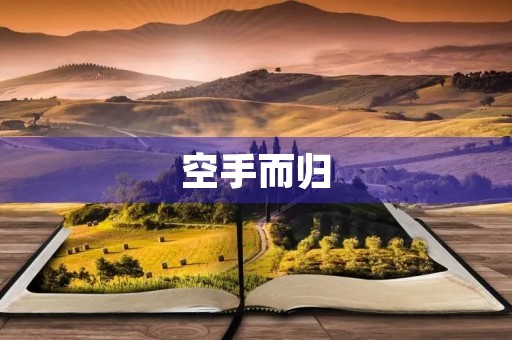 空手而归