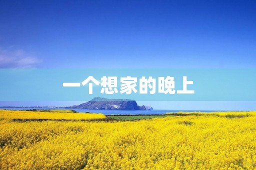 一个想家的晚上 一个想家的晚上