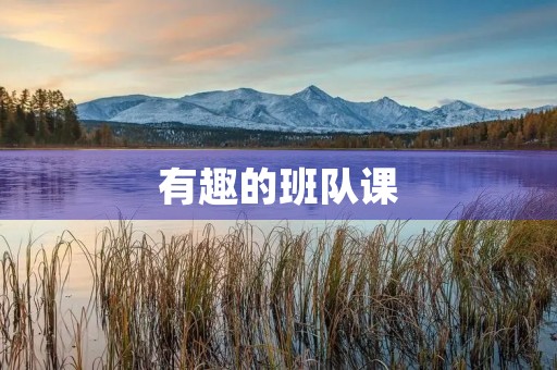 有趣的班队课 有趣的班队课