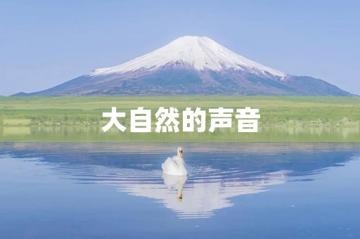 大自然的声音 大自然的声音
