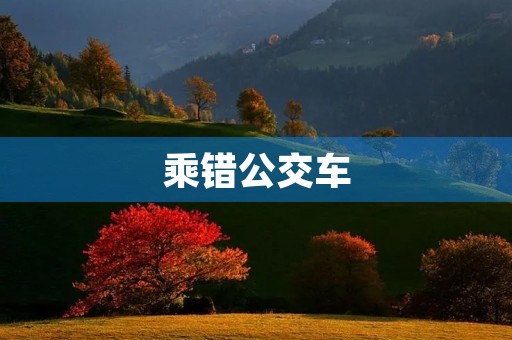 乘错公交车 乘错公交车